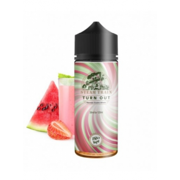Steamtrain Flavour shot Turn Out 120ml